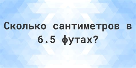 6 5 футов в см|5.6 футов в сантиметрах